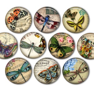 Pretty Butterfly & Dragonfly Pin Back Buttons, Backpack Pins, Jacket Buttons, Flat Back Button, Butterfly Party Favor, Vintage Dragonfly