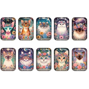May include: Ten rectangular cat portraits, each featuring a different breed, adorned with floral crowns and set against a starry background. Breeds include The Sphynx, Abyssinian, Siberian, Persian, Birman, Devon Rex, Maine Coon, Norwegian Forest, Ocicat, and Siamese.