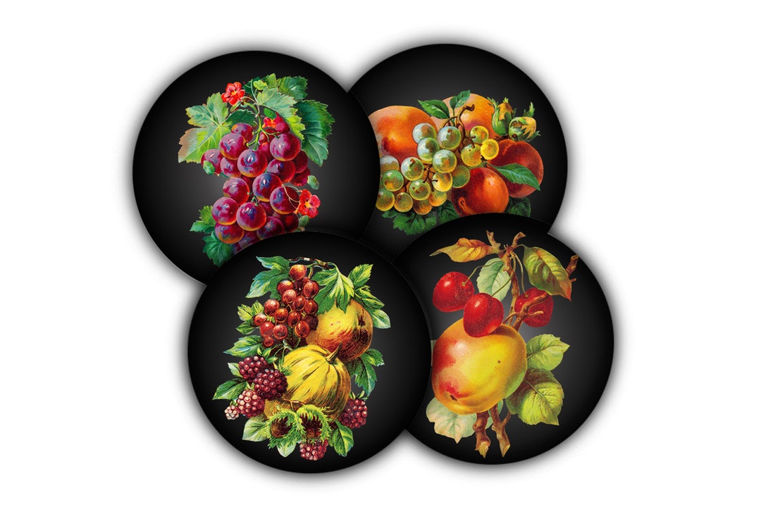 Lot 3 Sous-Verres Terre Cuite Ø25 Cm Pour Pots Ø30 Cm – Qualité Allemande Stable & Décoratif