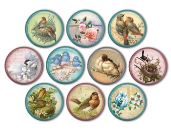 Shabby Chic Bird Pin Back Buttons, Backpack Pins, Jacket Buttons, Flat Back Button, Party Decor, Bird Party Favors, Bird Decor