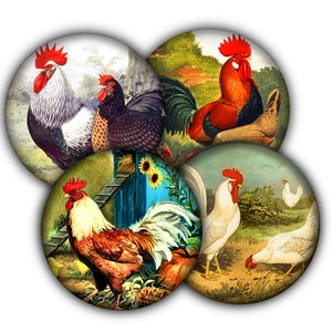 May include: A collection of five circular images featuring vintage illustrations of roosters and hens. The roosters display vibrant red combs and wattles, with plumage in shades of white, brown, black, and red. The backgrounds depict rural scenes.