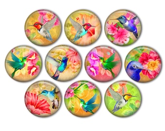 Beautiful Hummingbird Pin Back Buttons, Backpack Pins, Jacket Buttons, Flat Back Button, Party Decor, Hummingbird Gifts, Hummingbird Jewelry