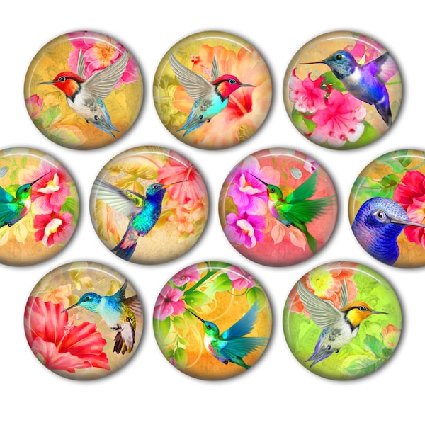 Beautiful Hummingbird Pin Back Buttons, Backpack Pins, Jacket Buttons, Flat Back Button, Party Decor, Hummingbird Gifts, Hummingbird Jewelry