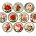 Vintage Roses Pin Back Buttons, Backpack Pins, Jacket Buttons, Flat ...