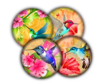 Beautiful Hummingbird Drink Coasters, Coasters, Tableware, Barware, Hummingbird Decor, Hummingbird Lovers Gift