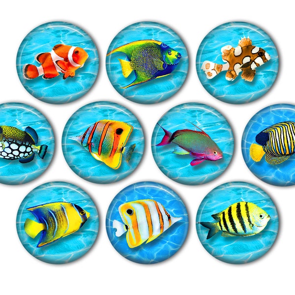 Tropical Fish Pin Back Buttons, Backpack Pins, Jacket Buttons, Flat Back Button, Pool Party Decor, Tropical Fish Decor, Beach Lovers Gift