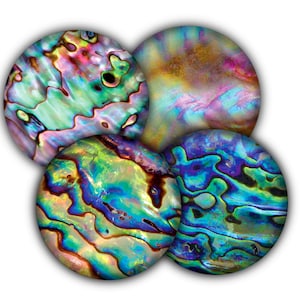 May include: Four round iridescent abalone shell coasters with a variety of swirling patterns in shades of blue, green, purple, and gold.