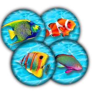 Tropical Fish Drink Coasters, Coasters, Tableware, Barware, Beach Decor, Beach House, Tropical Fish Decor, Fish Gifts