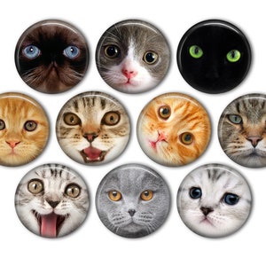 Cute Cat Faces Pin Back Buttons, Backpack Pins, Jacket Buttons, Flat Back Buttons, Party Favors, Cat Button Pins, Cat Lover Gifts