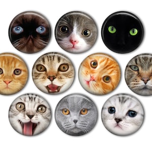 May include: A collection of ten round cat face magnets. The cats have various fur colors, including orange, gray, and black. Some cats have wide eyes, while others have their mouths open. The magnets are arranged in a circular pattern.