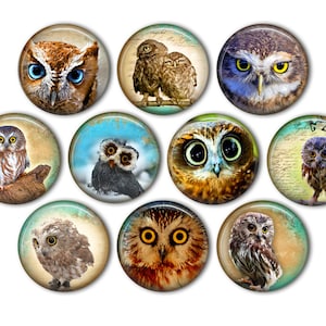 May include: Ten round, colorful, glass buttons with images of owls. The owls are in various poses and have different colored eyes. The buttons are perfect for crafting projects.