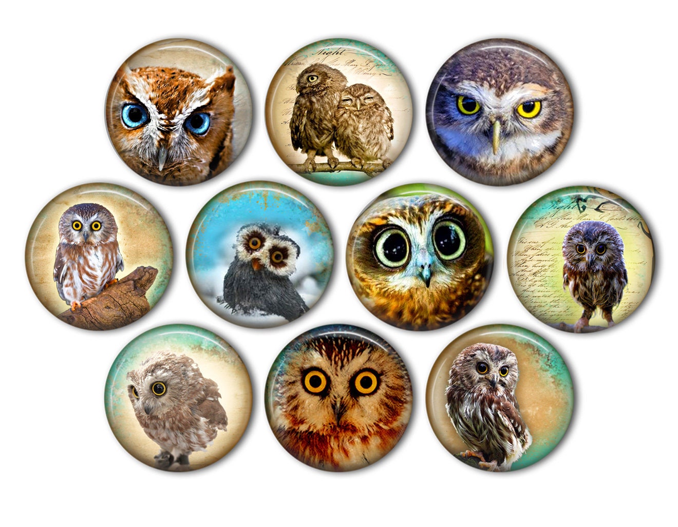 Cool Hoot Owl Pin Back Buttons, Backpack Pins, Jacket Buttons, Flat Back Button, Party Decor, Owl Pa