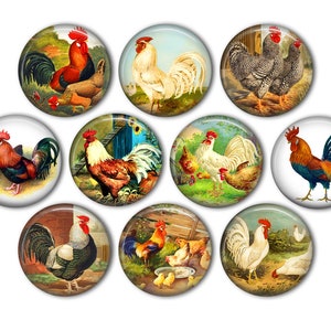 Colorful Chicken & Rooster Pin Back Buttons, Backpack Pins, Jacket Buttons, Flat Back Button, Party Decor, Chicken Decor, Farm Life, Rooster