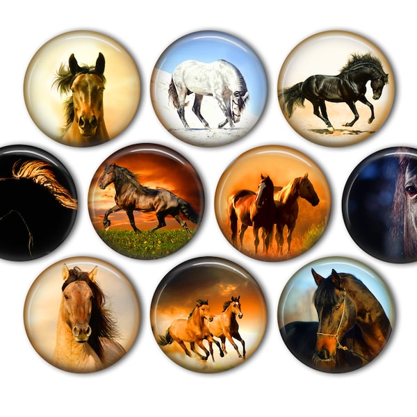 Beautiful Horse Pin Back Buttons, Backpack Pins, Jacket Buttons, Flat Back Buttons, Party Favors, Cowboy Fashion, Horse Decor, Western Decor