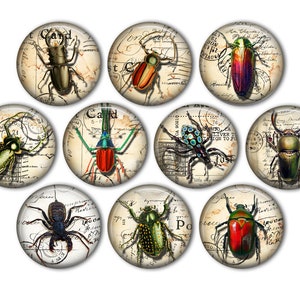 May include: Ten round, vintage-style, glass cabochons featuring various colorful insects on a background of old, handwritten letters and stamps. The insects include beetles, spiders, and butterflies.