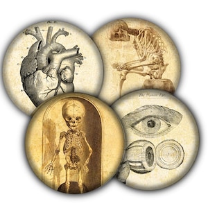 Victorian Anatomy Coaster Set, Drink Coasters, Coasters, Tableware, Barware, Halloween Coasters, Goth Decor, Spooky Coasters