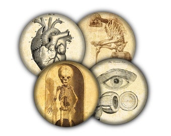 Victorian Anatomy Coaster Set, Drink Coasters, Coasters, Tableware, Barware, Halloween Coasters, Goth Decor, Spooky Coasters
