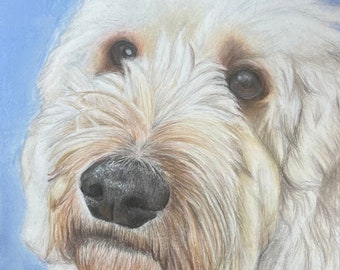 Hand drawn pencil pet portraits, realistic, any animal, custom, custom pet portrait, pencil drawing, dog drawing