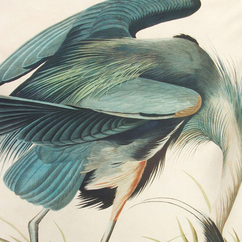 Blue Heron Tapestry Vintage Wall Art Bird Wall Art Nature | Etsy