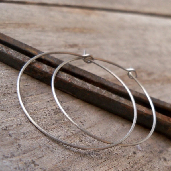 Hoop Earrings - Pure Titanium - Hypoallergenic Hoops - Titanium Earrings - Multiple sizes - Silver Hoops - Earrings for Sensitive Ears