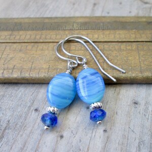Small Dangle Earrings - Hypoallergenic Titanium Earrings - Gift for Girl