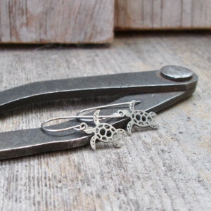 Turtle Earrings - Stainless Steel Earrings - Hypoallergenic Pure Titanium Earrings - Gift for Daughter