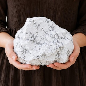 May include: A large, rough-hewn rock featuring a distinct white and grey brecciated pattern. The stone displays a complex network of angular white fragments embedded within a darker grey matrix, creating a high-contrast, textured surface appearance.