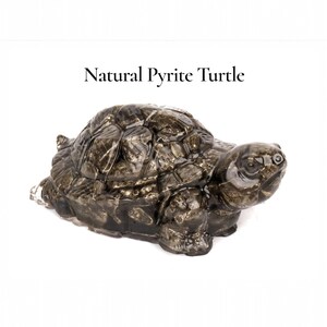 May include: A natural pyrite turtle figurine. The turtle is a dark, metallic gray color with a textured shell and detailed features. The text "Natural Pyrite Turtle" is above the figurine.