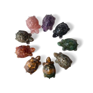 May include: A collection of nine carved stone turtle figurines in various colors, including pink, purple, green, and brown. The turtles are arranged in a circular pattern against a white background.