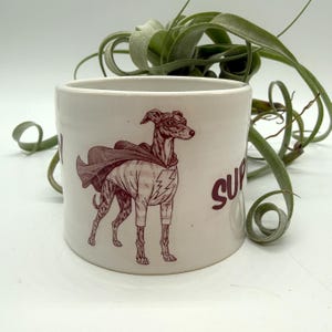 May include: A white ceramic planter with a maroon illustration of a superhero dog. The dog is wearing a cape and a shirt with a lightning bolt. The word "SUPER" is printed on the side of the planter.