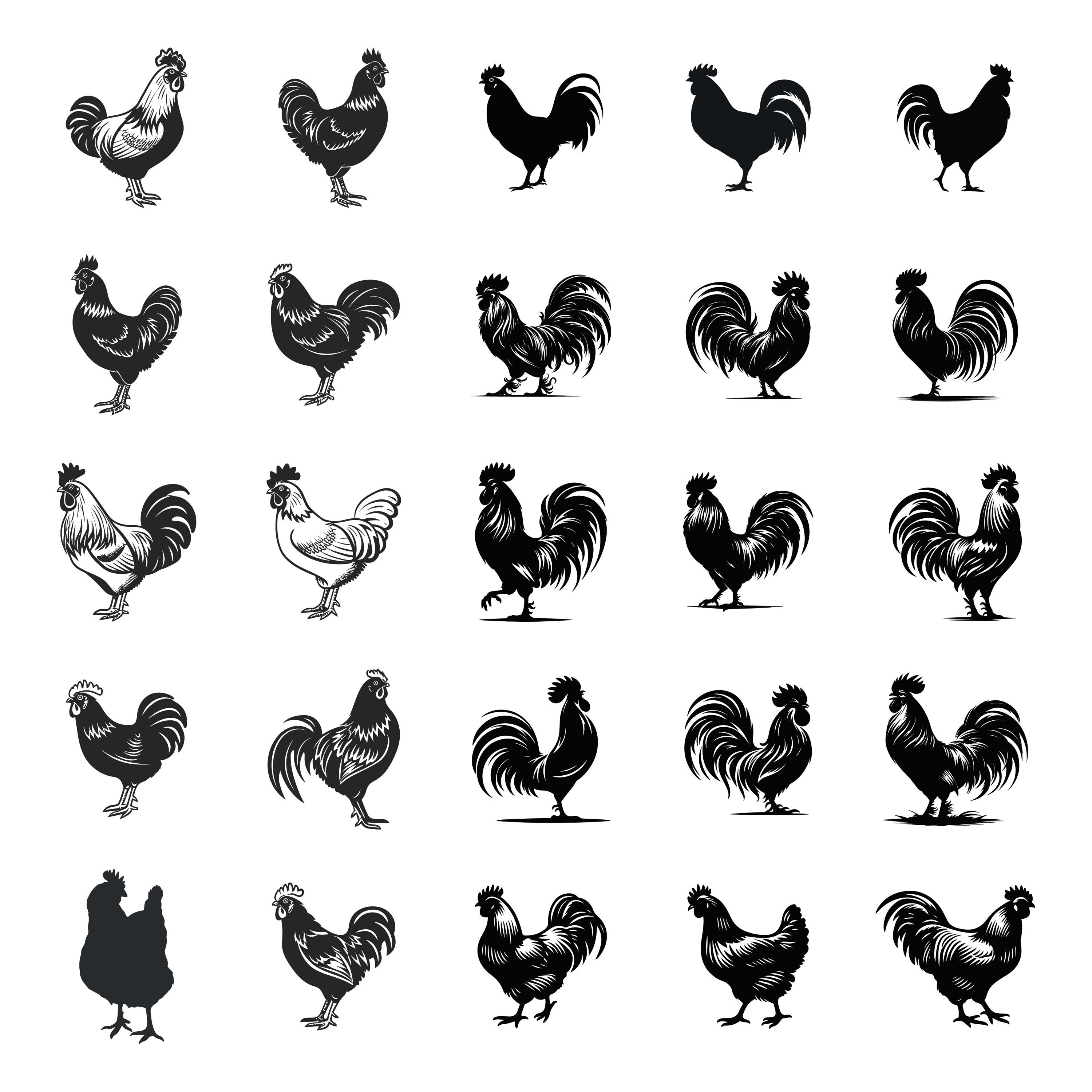 Best Chicken Svg Bundles, Chicken Clipart, Chicken PNG, Funny Chicken ...