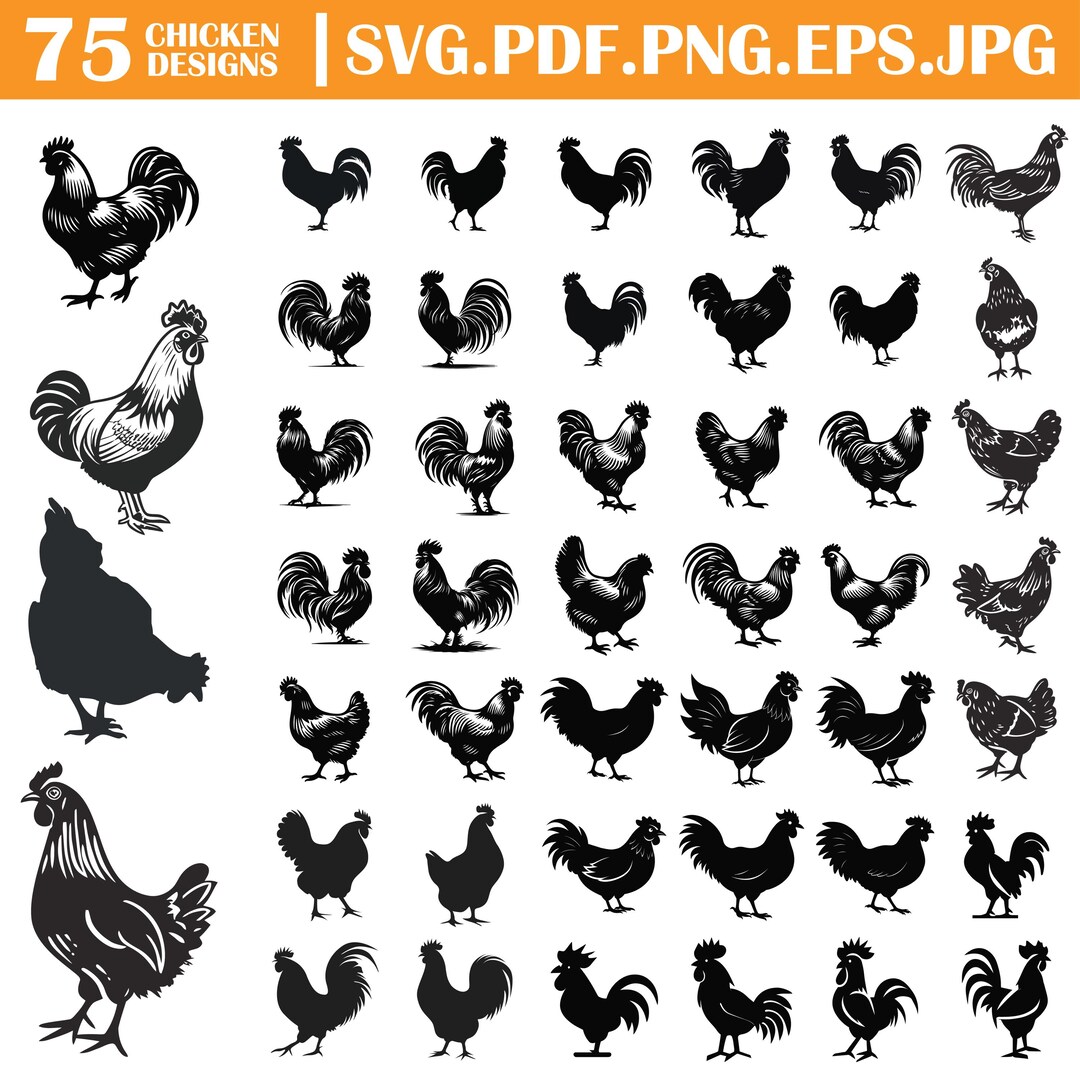 Best Chicken Svg Bundles, Chicken Clipart, Chicken PNG, Funny Chicken ...