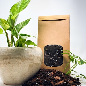 Könnte beinhalten: Ein brauner Papierbeutel gefüllt mit Blumenerde, ein weißer Keramiktopf mit einer grünen Pflanze und eine kleine grüne Pflanze auf der rechten Seite des Bildes.