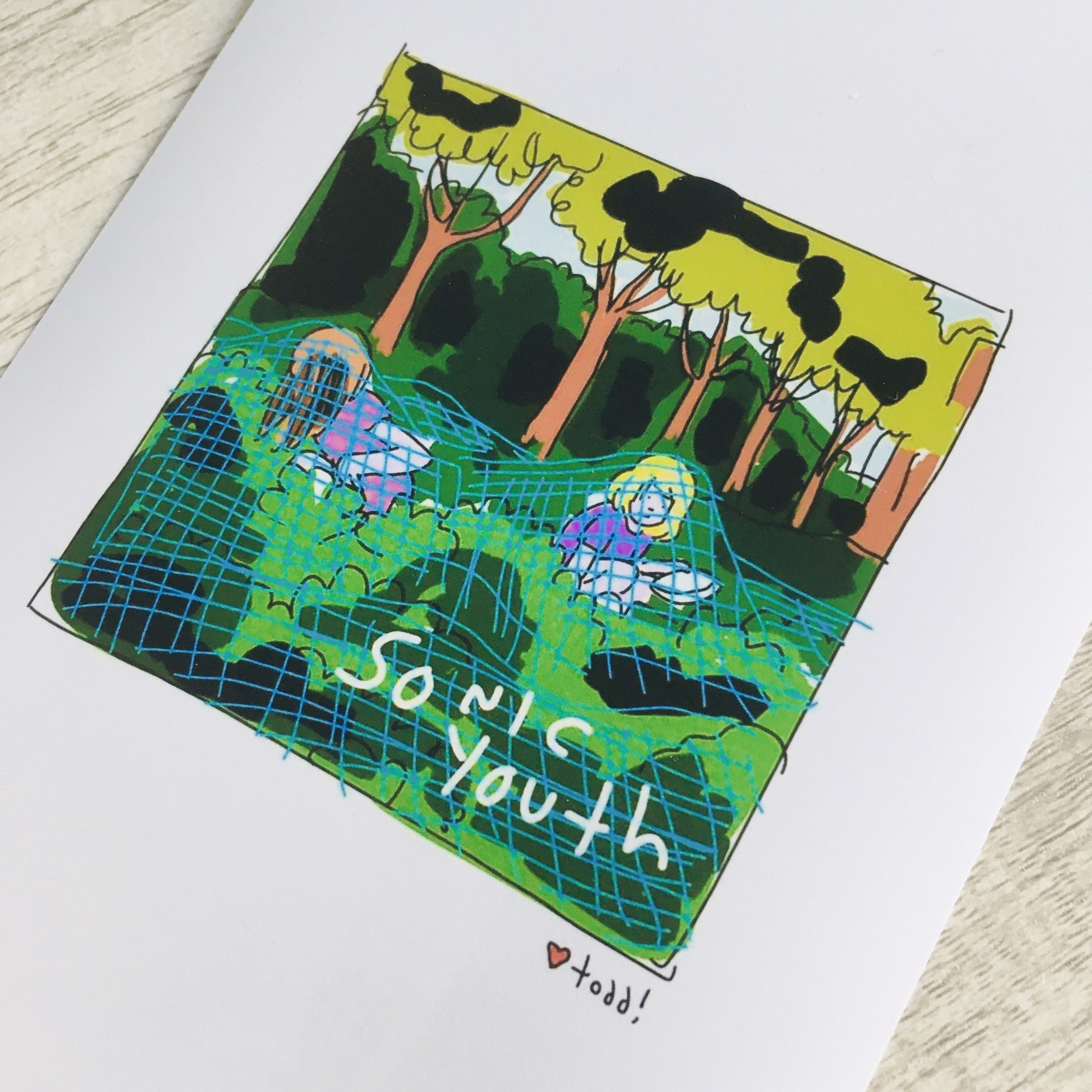 Sonic Youth - Murray Street, Art, Print, 4 x 6 inches, music