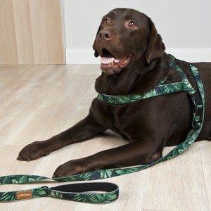 Op de afbeelding: Een bruine Labrador Retriever die een groen en zwart bladmotief hondenharnas en riem draagt. De riem heeft een zwarte gesp en de tekst "LUSH DESIGN" erop gedrukt.