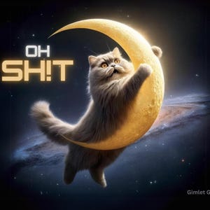 May include: A whimsical digital art piece featuring a fluffy gray cat clinging to a crescent moon in a starry night sky. The text "OH SH!T" is displayed in illuminated gold letters. The image has a humorous and surreal theme.