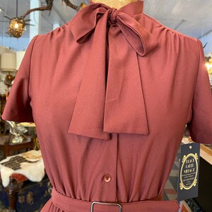 1970s dress, rust polyester, vintage dress, ascot tie neck, pleated full skirt, lady carol. size small, secretary image 3