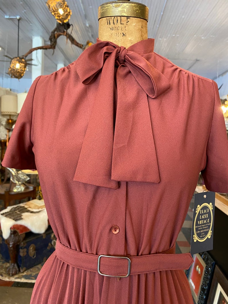 1970s dress, rust polyester, vintage dress, ascot tie neck, pleated full skirt, lady carol. size small, secretary image 3