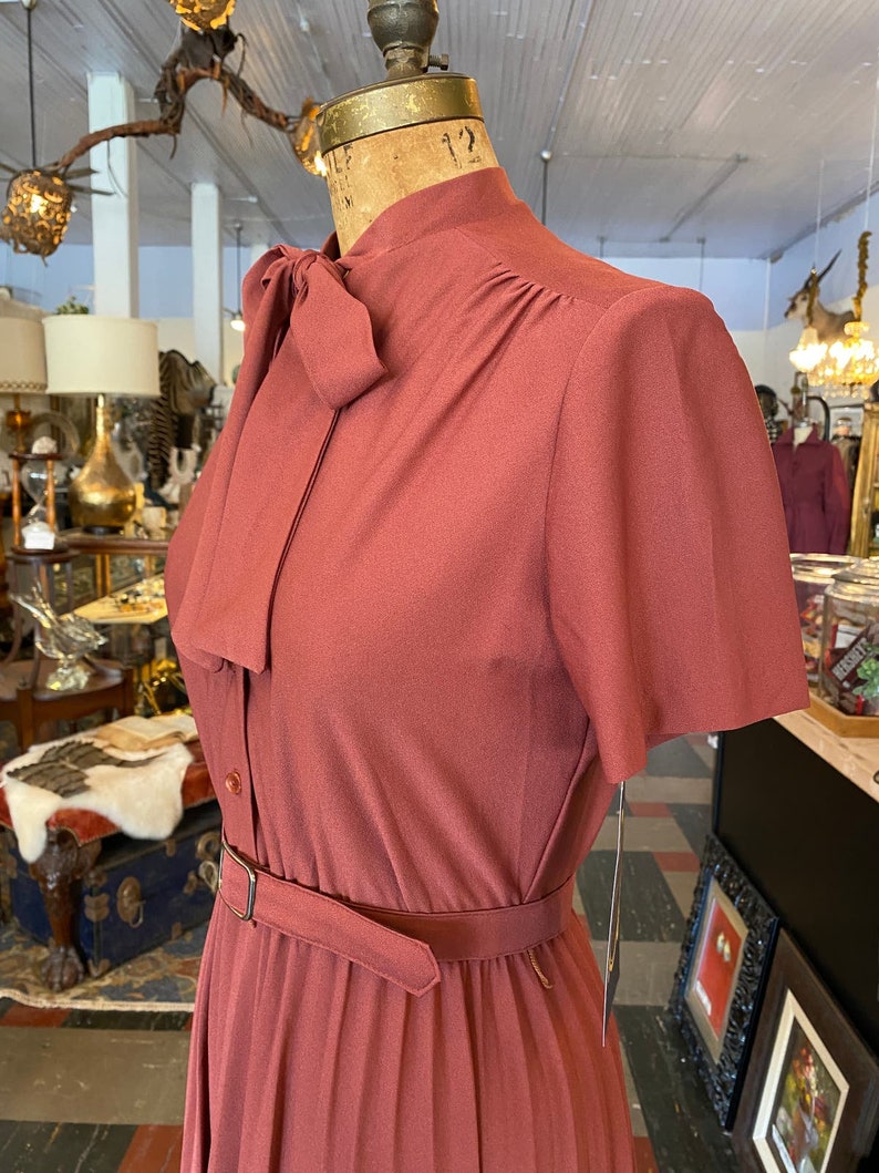 1970s dress, rust polyester, vintage dress, ascot tie neck, pleated full skirt, lady carol. size small, secretary image 6