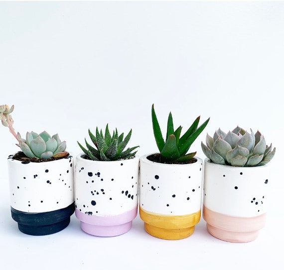 planter pot plastic Panterra Oval Planters