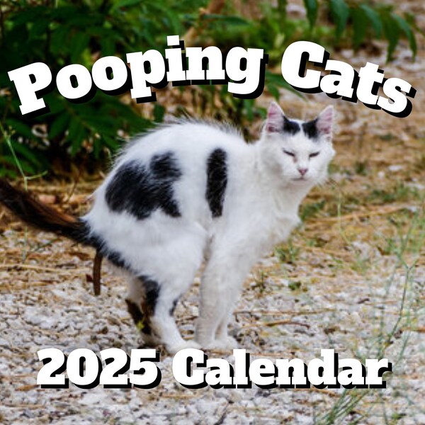 White Cat Calendar Etsy