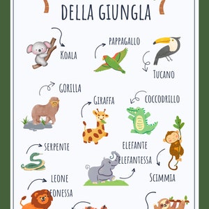 Zweisprachiges italienisch englisches Babyposter Dschungeltiere