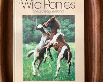 Vintage Wild ponies of Assateague Island National Geographic book