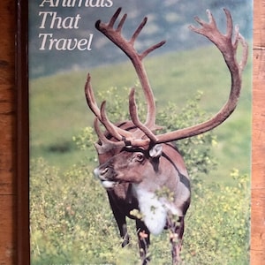 Vintage National Geographic Animals that Travel book