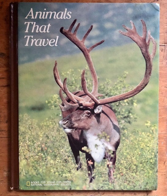 Vintage National Geographic Animals That Travel Book Etsy