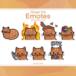 Ginger Cat Emotes (7) | Discord | Twitch | Transparent Profile Picture