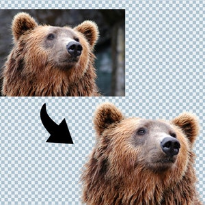 5X INSTANT Background Removal Digital Photo Editing, Quick Image Cleanup for Graphics, Product Photos & Portraits image 5