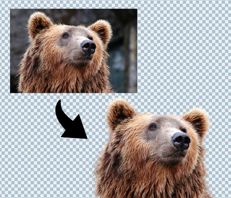 3X INSTANT Background Removal 1 FREE Fast Manual Background Removal Service 12 hours image 5