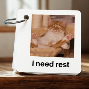 Cat Communication Cards: Autism, ADHD Visual Aid (Editable, Digital Download)