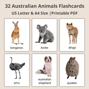 Australiska djurkort: Montessorikort, riktiga bilder (PDF-utskrivbar, redigerbar Canva-mall)